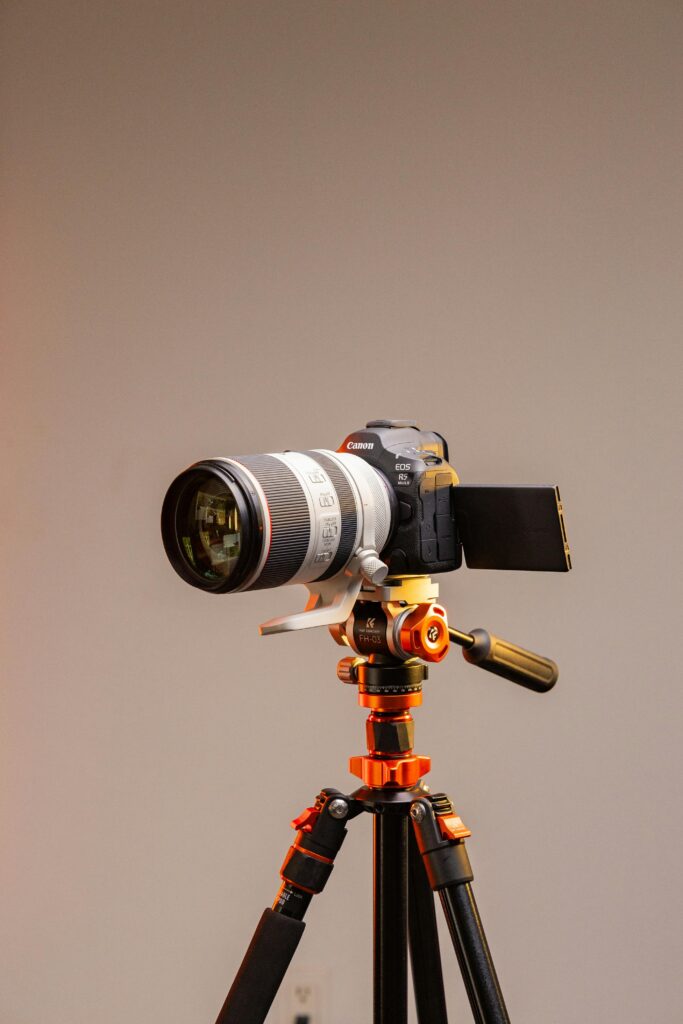 Catalogue photoshoot